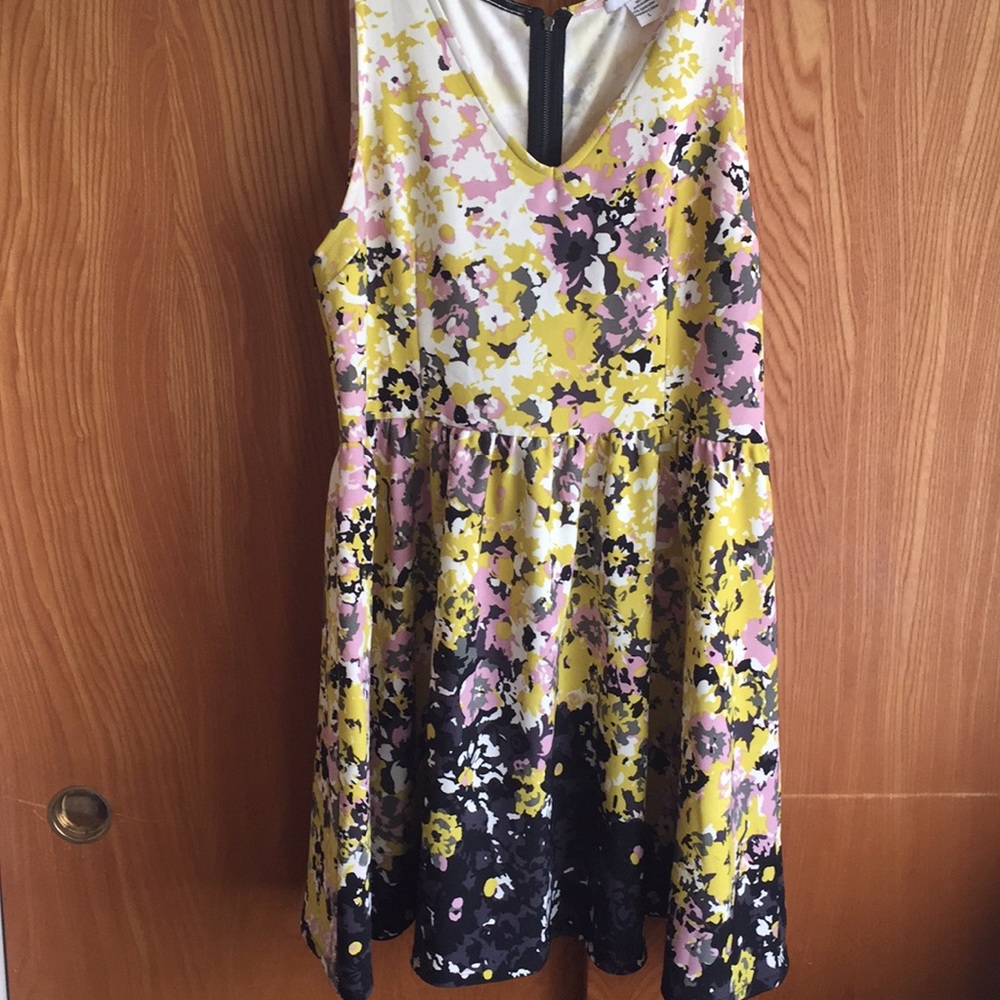 Bar III Fit and Flare Dress